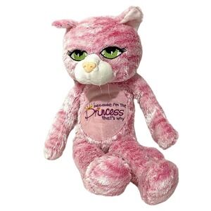 Pink Plush Princess Cat 18" Stuffed Animal Embroidered Project Piece